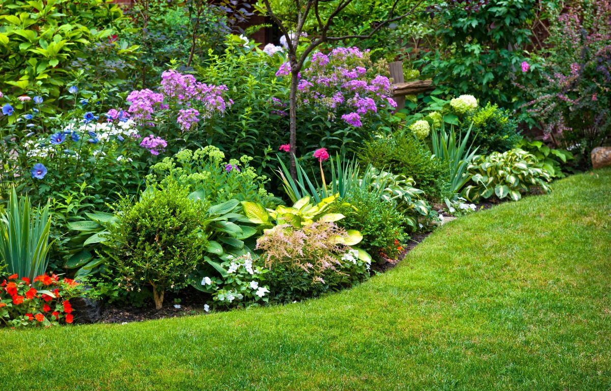 Jardim Florescente