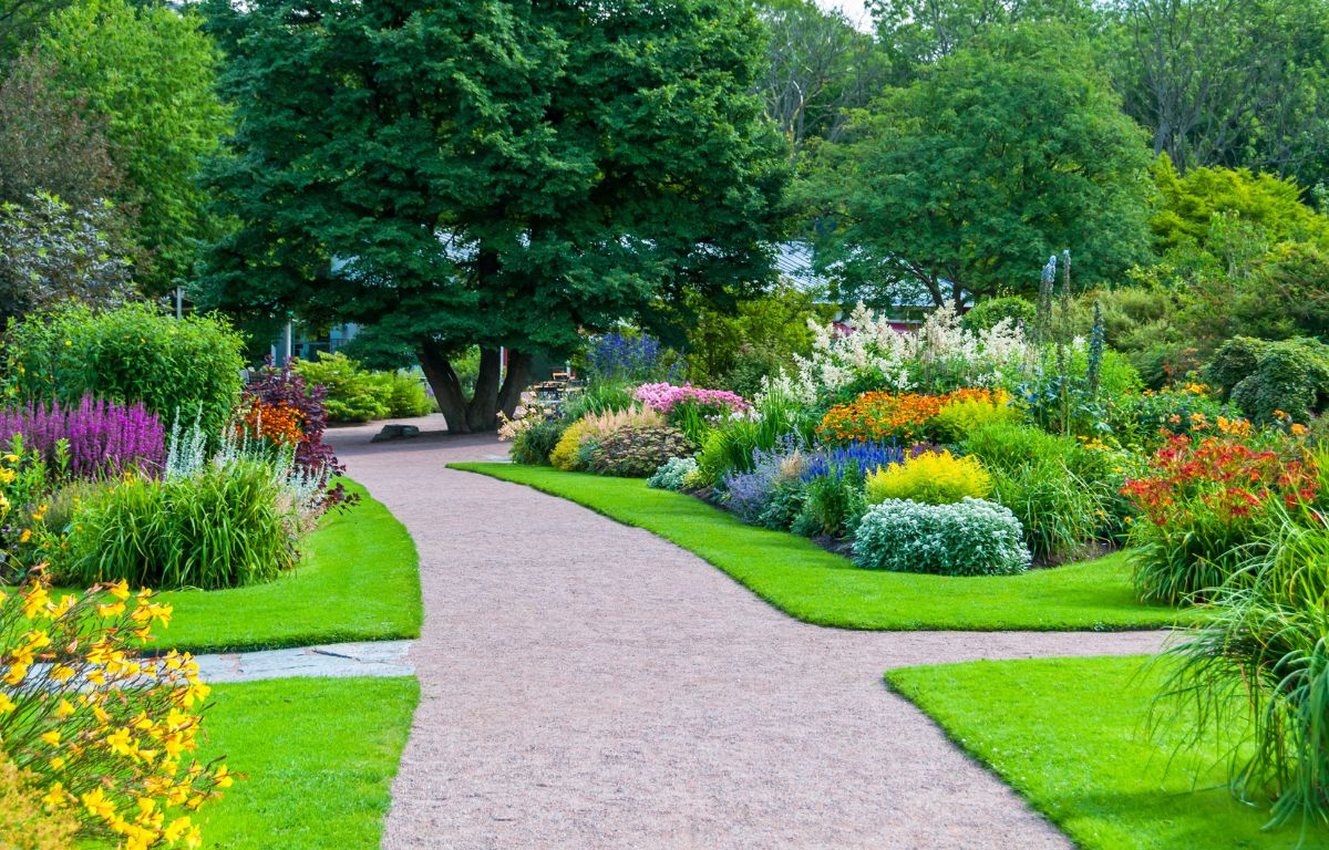 Jardim dos Sonhos