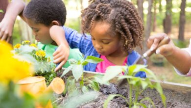 Jardinagem Infantil