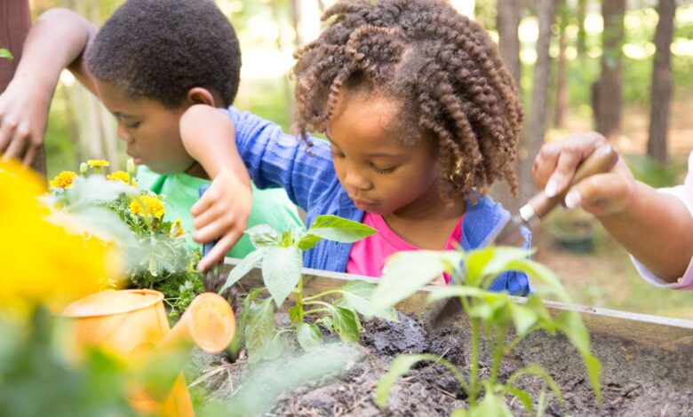 Jardinagem Infantil