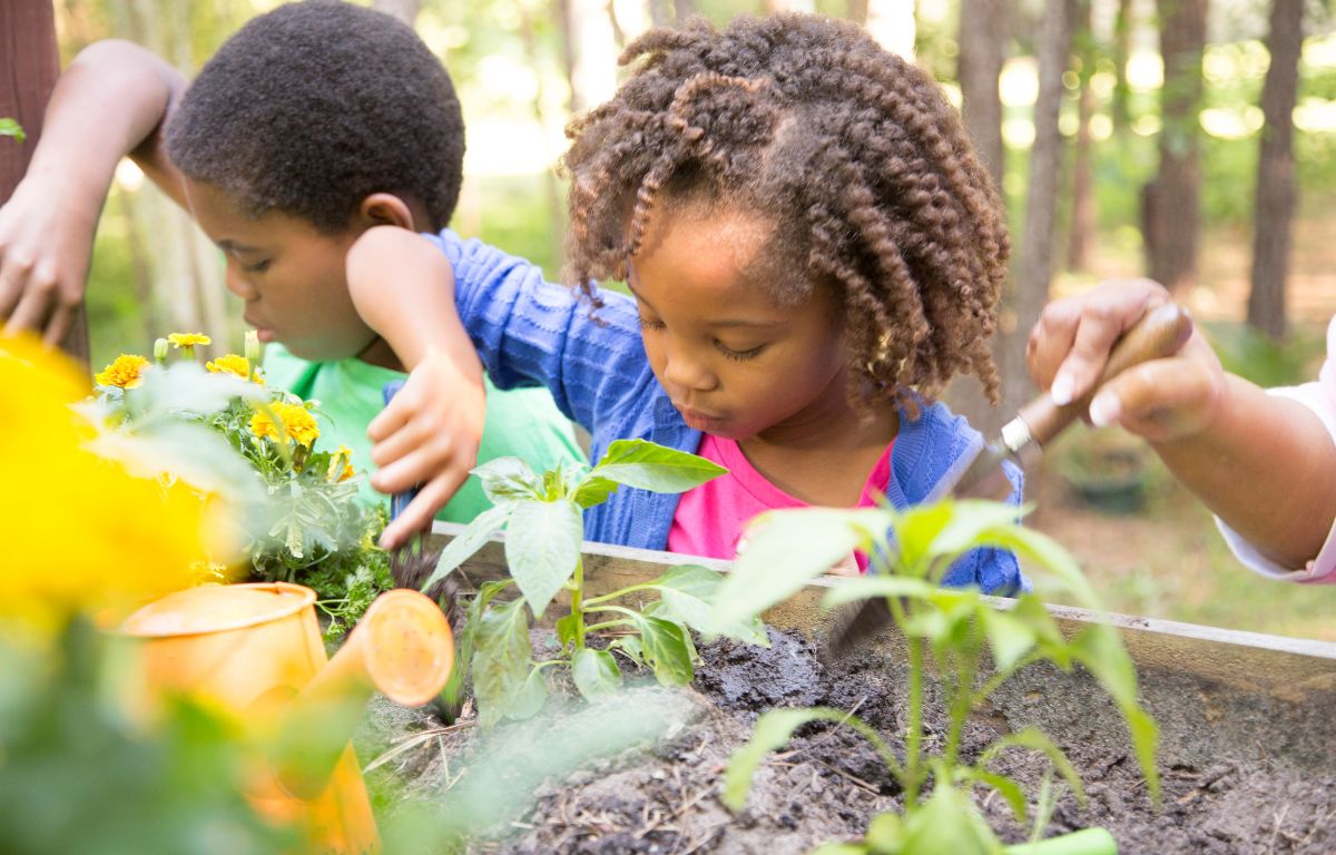 Jardinagem Infantil
