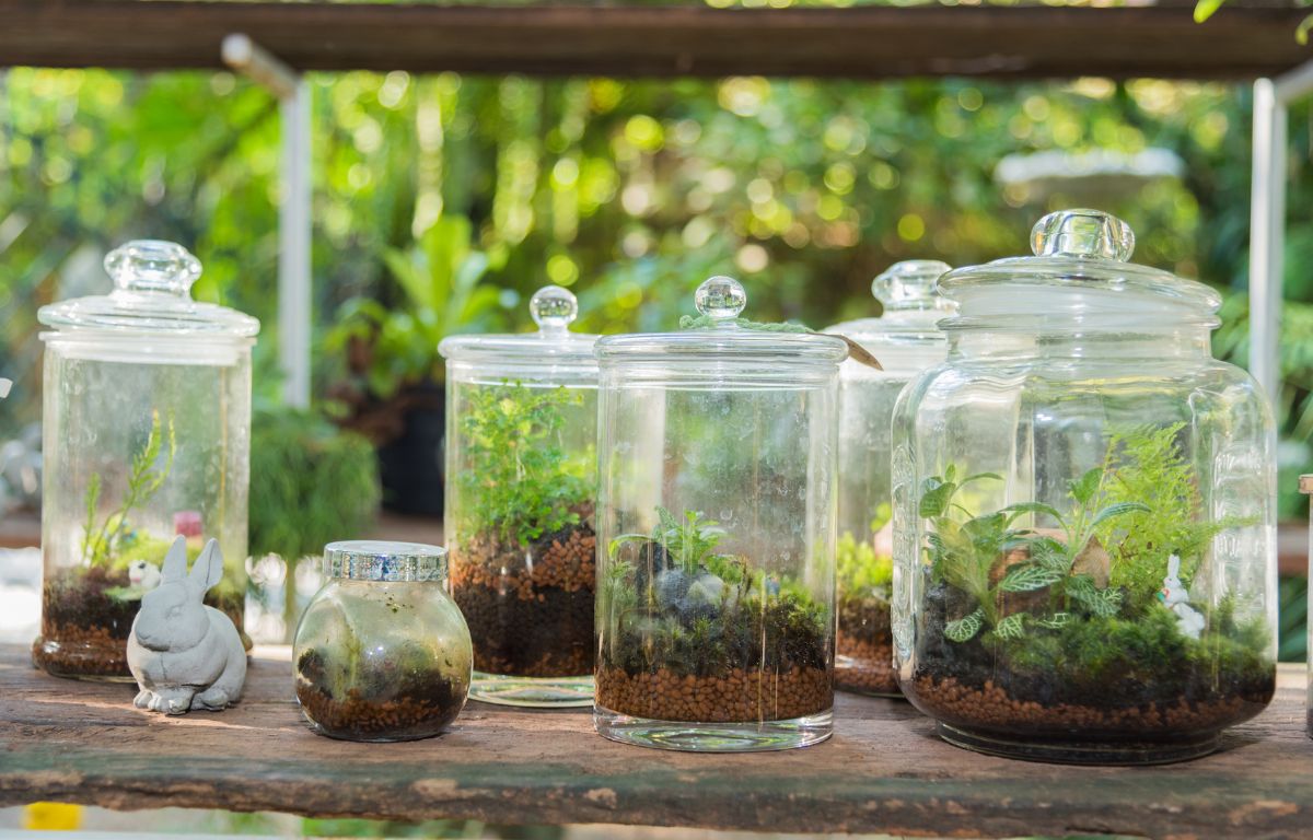 Terrários