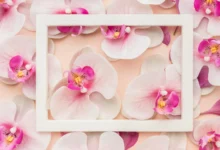 Orquídeas com folhas murchas e amareladas: o que fazer?