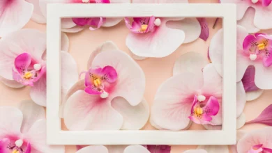 Orquídeas com folhas murchas e amareladas: o que fazer?