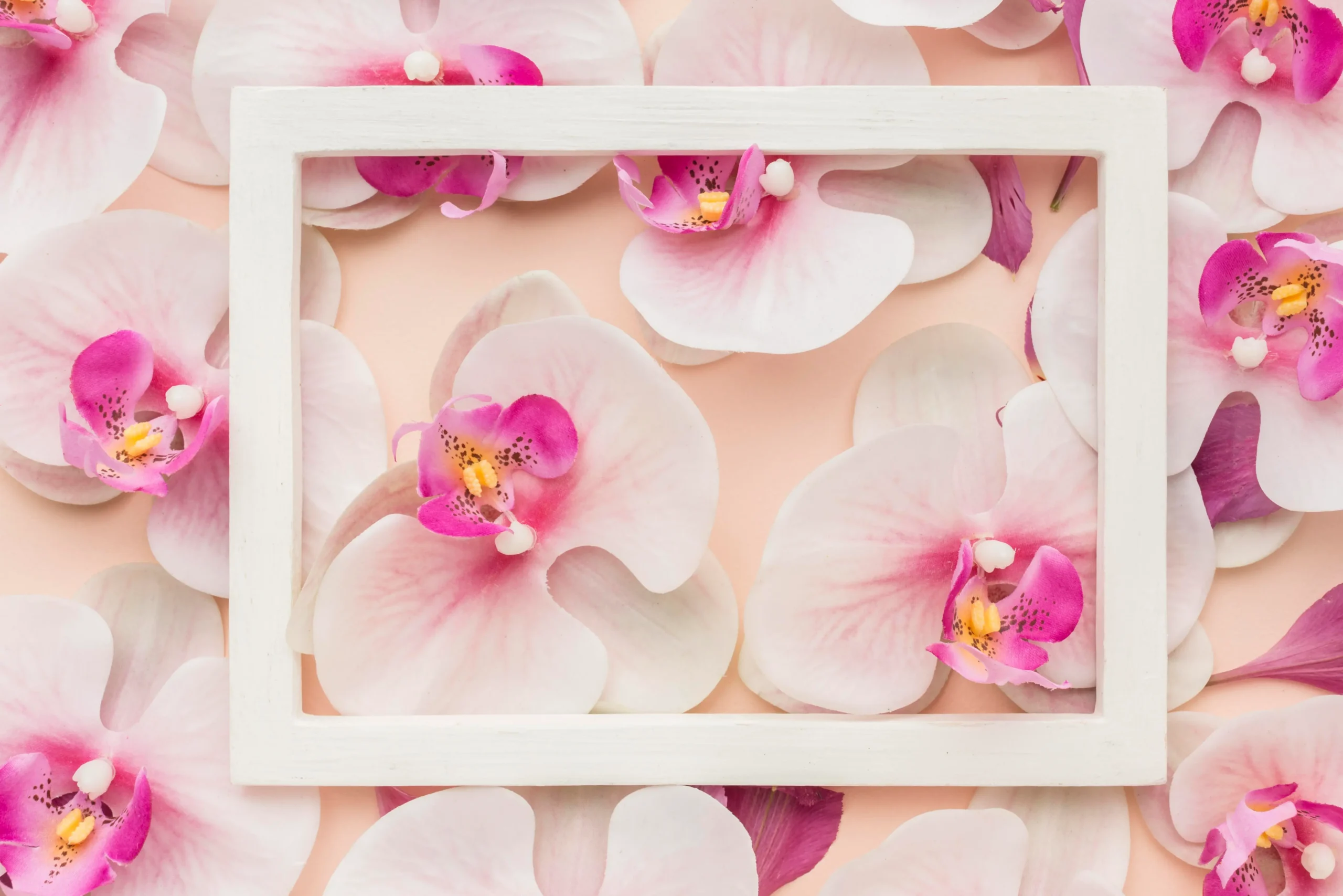 Orquídeas com folhas murchas e amareladas: o que fazer?