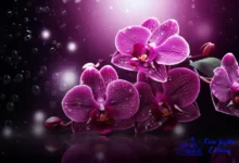 fungos patogônicos orquídeas