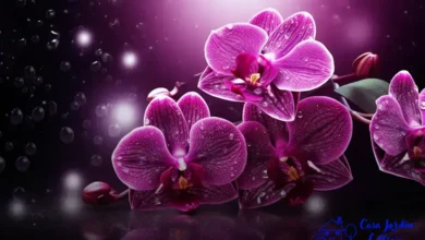 fungos patogônicos orquídeas