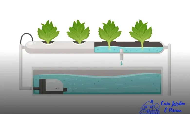 plantar alface em hidroponia