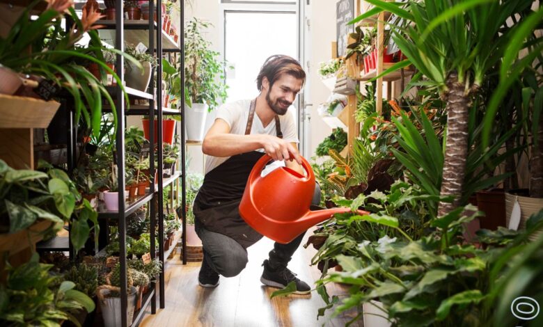 plantas