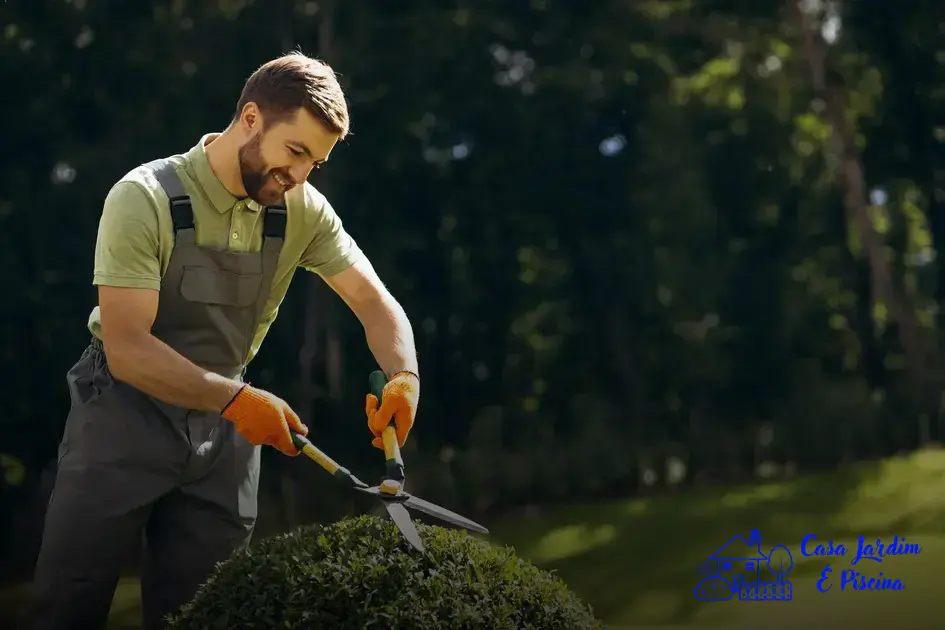 Como economizar água na manutenção do seu jardim durante a estação seca