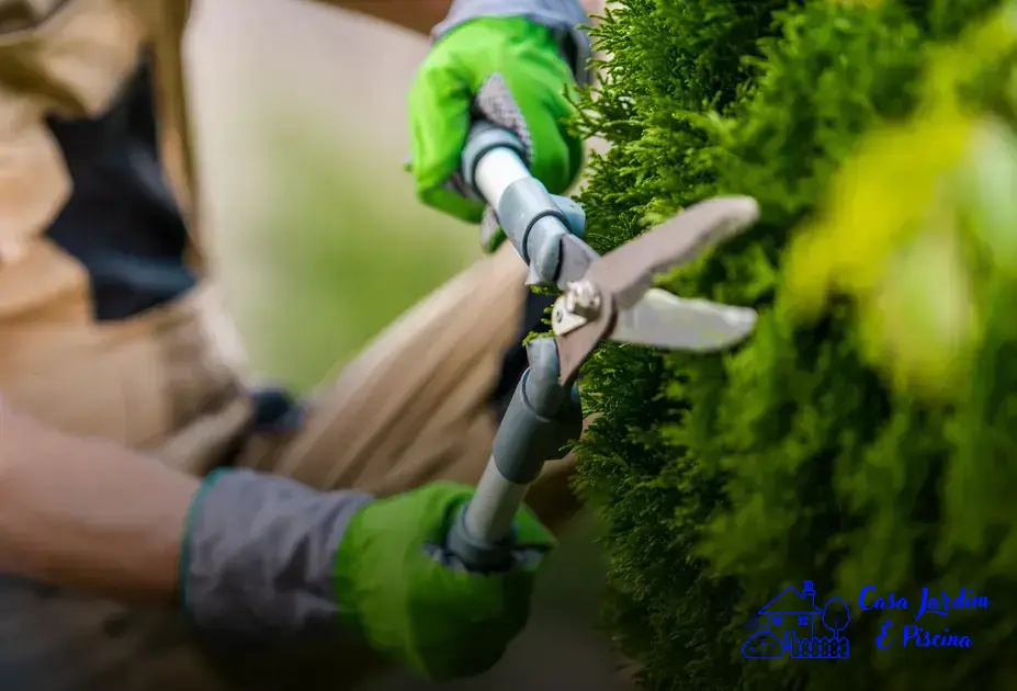 Descubra as melhores plantas para deixar a fachada da sua casa ainda mais bonita