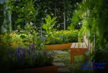 Manutenção de jardins em tempos de calor e seca