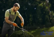 melhores espécies de Plantas para fachada