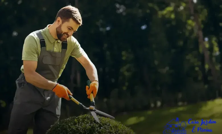 melhores espécies de Plantas para fachada
