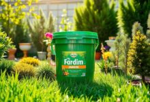 Adubo Forth Jardim 3kg: Vale a Pena em 2025? Review Completo